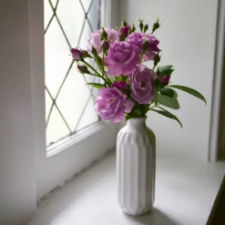 Rise Up Lilac Days™ Climbing Rose -Great Garden Plants Shop RosaRiseUpLilacDaysP1173972 800x800 2fcb2d6